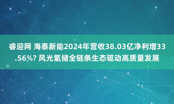 睿迎网 海泰新能2024年营收38.03亿净利增33.56%? 风光氢储全链条生态驱动高质量发展
