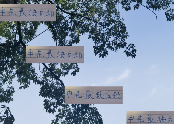 红河配资 申花最缺往往就是后劲 去年就是例子 因此海港 北京国安还有机会