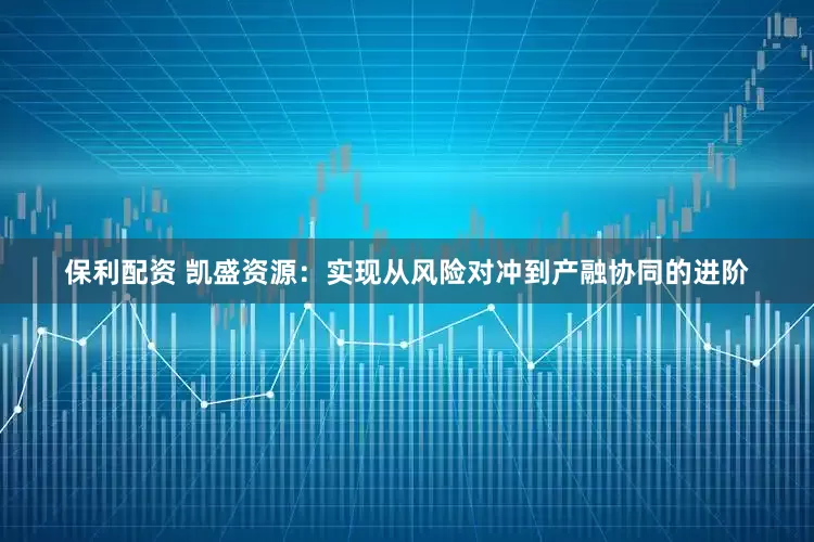 保利配资 凯盛资源：实现从风险对冲到产融协同的进阶