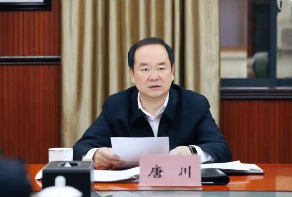 泸深A融通 极目政情丨热衷于权力变现，唐川被“双开”，曾任重庆市委政法委常务副书记