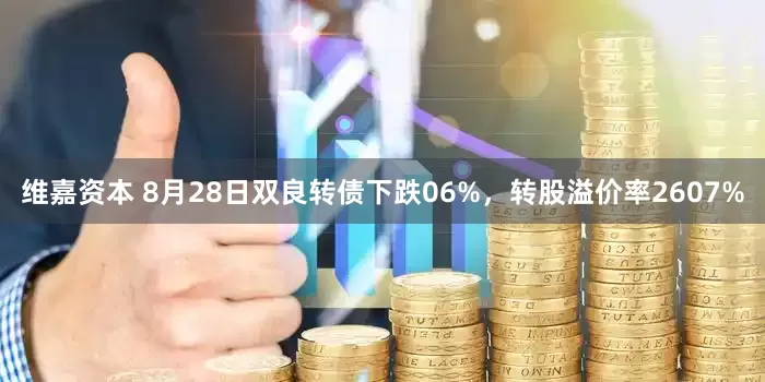 维嘉资本 8月28日双良转债下跌06%，转股溢价率2607%