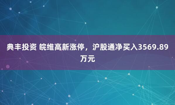 典丰投资 皖维高新涨停，沪股通净买入3569.89万元